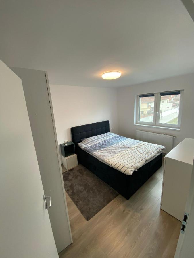 Apartament „Viena” - 2 Camere Şelimbăr Exteriér fotografie